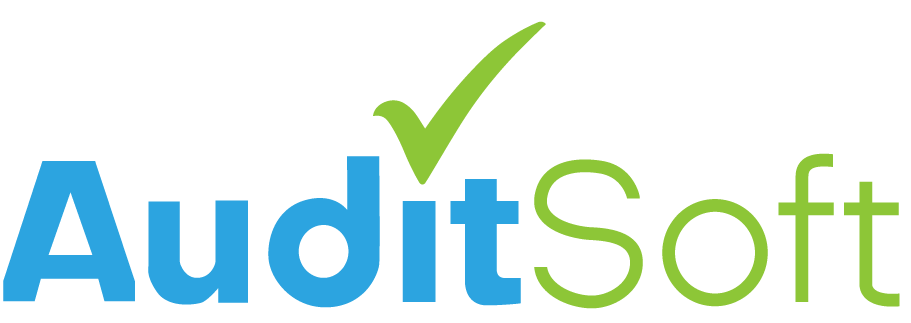 Audit Soft Professional Services